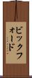 ビックフォード Scroll