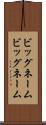 ビッグネーム Scroll