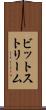 ビットストリーム Scroll