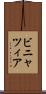 ビニャツィア Scroll