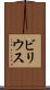 ビリウス Scroll
