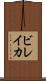 ビレイカ Scroll