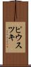ピウスツキ Scroll