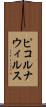 ピコルナウィルス Scroll