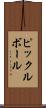 ピックルボール Scroll