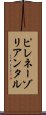 ピレネーゾリアンタル Scroll