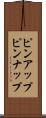 ピンアップ Scroll