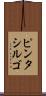 ピンタシルゴ Scroll