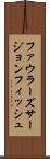 ファウラーズサージョンフィッシュ Scroll