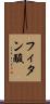 フィタン酸 Scroll