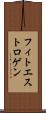 フィトエストロゲン Scroll