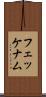 フェッケナム Scroll