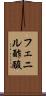 フェニル酢酸 Scroll