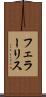 フェラーリス Scroll