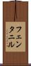 フェンタニル Scroll