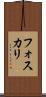 フォスカリ Scroll