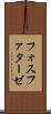 フォスファターゼ Scroll