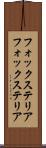 フォックステリア Scroll