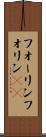 フォーリン Scroll