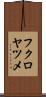 フクロヤツメ Scroll