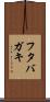 フタバガキ Scroll