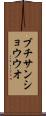 ブチサンショウウオ Scroll