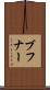ブフナー Scroll