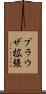 ブラウザ拡張 Scroll