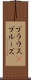 ブラウス(P) Scroll
