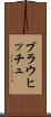 ブラウヒッチュ Scroll