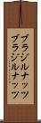 ブラジルナッツ Scroll