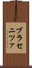 ブラセニツァ Scroll