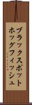 ブラックスポットホッグフィッシュ Scroll
