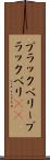ブラックベリー Scroll
