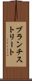 ブランチストリート Scroll