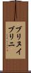 ブリヌイ Scroll