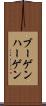 ブーゲンハーゲン Scroll