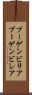 ブーゲンビリア Scroll