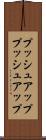 プッシュアップ Scroll