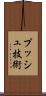 プッシュ技術 Scroll