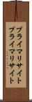 プライマリサイト Scroll