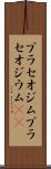 プラセオジム Scroll