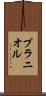 プラニオル Scroll