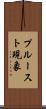 プルースト現象 Scroll