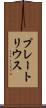 プレートリウス Scroll