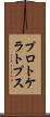 プロトケラトプス Scroll