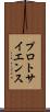 プロトサイエンス Scroll