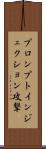 プロンプトインジェクション攻撃 Scroll