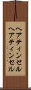 ヘアティンセル Scroll
