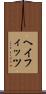 ヘイフィッツ Scroll